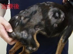治療後
