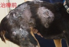 治療前